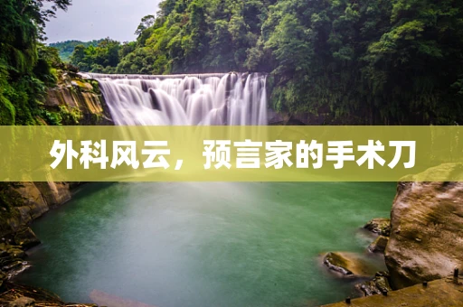 外科风云，预言家的手术刀