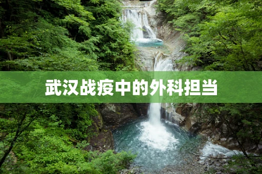武汉战疫中的外科担当