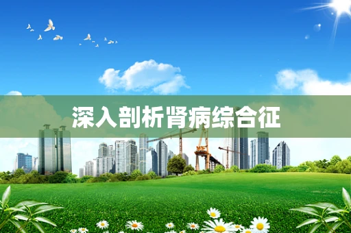 深入剖析肾病综合征