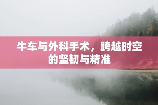 牛车与外科手术，跨越时空的坚韧与精准