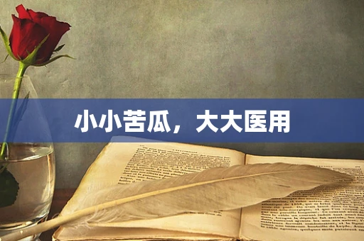 小小苦瓜，大大医用