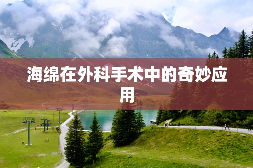 海绵在外科手术中的奇妙应用
