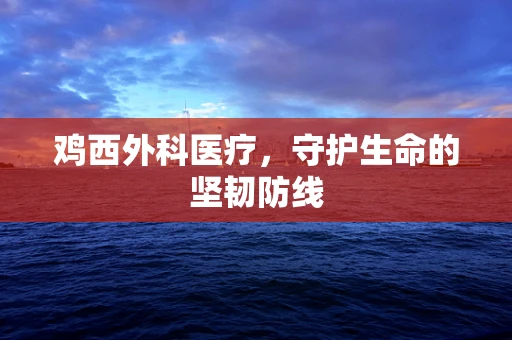 鸡西外科医疗，守护生命的坚韧防线