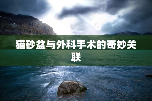 猫砂盆与外科手术的奇妙关联