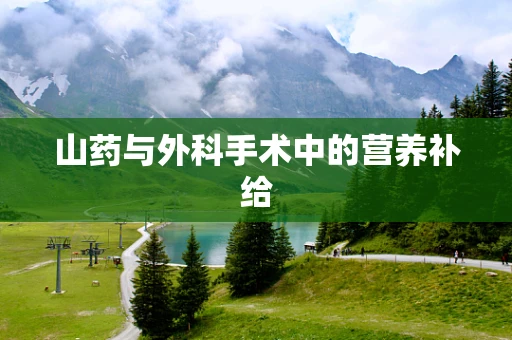 山药与外科手术中的营养补给