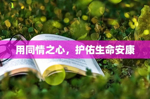 用同情之心，护佑生命安康