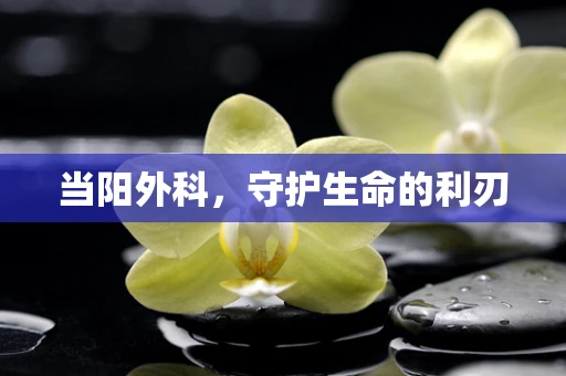 当阳外科，守护生命的利刃