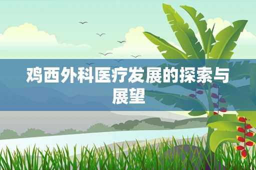 鸡西外科医疗发展的探索与展望