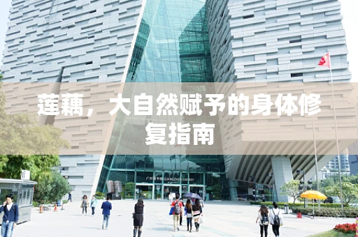 莲藕，大自然赋予的身体修复指南