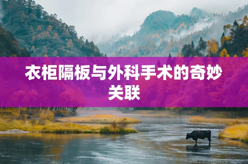 衣柜隔板与外科手术的奇妙关联