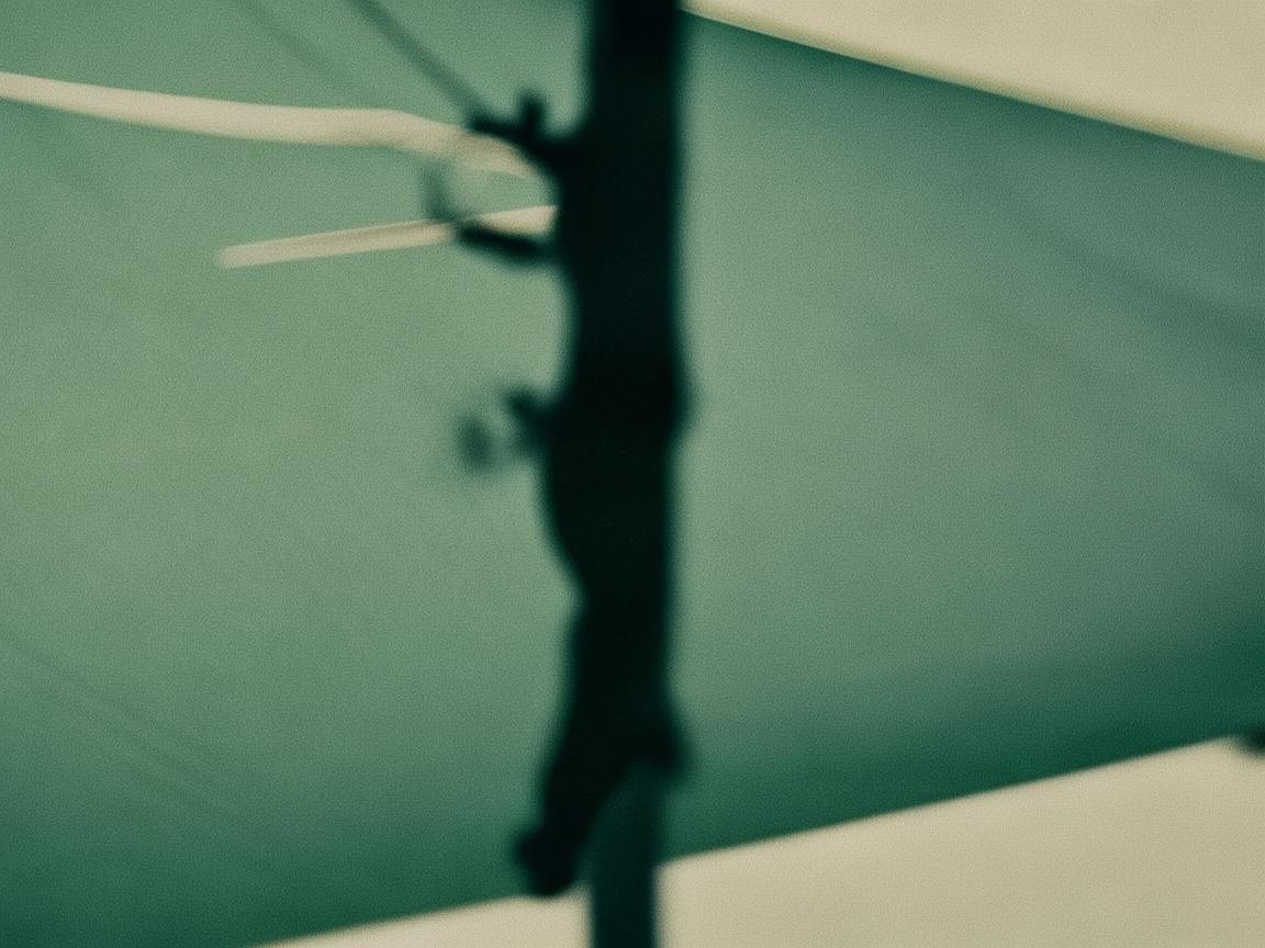 从网球场观众席看人体结构与外科手术关联